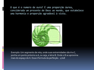O que é o numero de ouro? É uma proporção áurea, considerada um presente de Deus ao mundo, que estabelece uma harmonia e proporção agradável à vista.Exemplo: Um segmento de reta, onde suas extremidades são A e C, ponha um ponto próximo a A, ou seja, a letra B. Onde o B se aproxima mais do espaço do A. Essa é formula da perfeição.  1,618