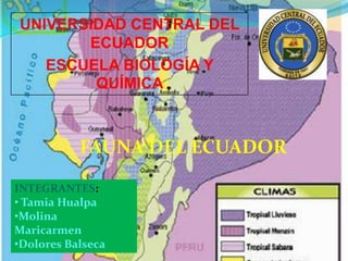 UNIVERSIDAD CENTRAL DEL
       ECUADOR
   ESCUELA BIOLOGÍA Y
        QUÍMICA



           FAUNA DEL ECUADOR

INTEGRANTES:
• Tamia Hualpa
•Molina
Maricarmen
•Dolores Balseca
 