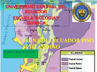 UNIVERSIDAD CENTRAL DEL
ECUADOR
ESCUELA BIOLOGÍA Y
QUÍMICA

FAUNA DEL ECUADOR PISO
ALTO ANDINO
PABLO AGUAGUIÑA

 