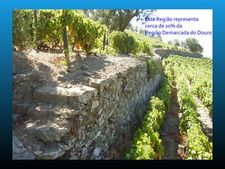 Esta Região representa
cerca de 10% da
Região Demarcada do Douro
 