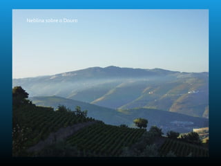 Neblina sobre o Douro
 