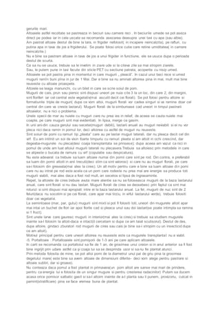 gerurile mari. 
Altoaiele astfel recoltate se pastreaza in beciuri sau camere reci . In beciurile umede se pot aseza 
direct pe podea iar in cele uscate se recomanda asezarea deasupra unei tavi cu apa (sau albie). 
Am pastrat altoaie destul de bine la tara, in frigider nefolosit( in incapere neincalzita), pe rafturi, cu 
putina apa in tava de jos a frigiderului. Se poate folosi orice cutie care retine umiditatea( in camere 
neincalzite.) 
Nu e bine sa pastram altoaie in tava de jos a unui frigider in functiune, ele se usuca dupa o perioada 
destul de scurta. 
Ca sa nu se usuce, trebuie sa le invelim in ziare ude si la citeva zile sa mai stropim ziarele. 
Sau, le putem pune in tavi facute din sticle PET cu sectiune patrata, acoperite cu nisip umed. 
Altoaiele se pot pastra pina in momentul in care mugurii „ pleacă”. In cazul unui beci rece si umed 
mugurii ramîn buni pîna in jur de 1 Mai. Dar e bine sa nu aminati altoirea pina in mai, mult mai bine 
reuseste cu altoaie proaspete. 
Altoiele se leaga manunchi, cu un bilet in care se scrie soiul de pom. 
Mugurii de cais, prun sau piersic sint dispusi uneori pe nuia ci te 3 la un loc, din care 2, din margini, 
sint floriferi iar cel central este vegetativ(mai ascutit decit cei florali). Se pot folosi pentru altoire si 
formatiunile triple de muguri( dupa ce vom altoi, mugurii florali vor cadea singuri si va ramine doar cel 
central din care va creste lastarul). Mugurii florali de la simburoase cad uneori in timpul pastrarii 
altoaielor, nu e nici o problema. 
Unele specii de mar au nuiele cu muguri care nu prea ies in relief, de aceea se cauta nuiele mai 
coapte, pe care mugurii sint mai evidentiati. In lipsa, merge ce gasim. 
In unii ani-din cauza gerului sau secetei(muguri debili), lastarii anuali au muguri neviabili si ei nu vor 
pleca nici daca ramin in pomul lor, deci altoirea cu astfel de muguri nu reuseste. 
Sint soiuri de pomi cu ramuri tip „pleata” care au pe lastar muguri laterali, dar nu pleaca decit cel din 
virf. Eu am intilnit un soi de visin foarte timpuriu cu ramuri pleata si am altoit in ochi crescind, dar 
degeaba-mugurele nu pleca(desi coaja transplantata se prinsese); dupa aceea am vazut ca nici in 
pomul de unde am luat altoiul mugurii laterali nu plecasera.Trebuia sa altoiesc prin metodele in care 
se alipeste o bucata de ramura cu virf (copulatie sau despicatura). 
Nu este adevarat ca trebuie sa luam altoaie numai din pomii care sint pe rod. Din contra, e preferabil 
sa luam din pomii altoiti in anii trecuti(deci stim ca sint valorosi) si care nu au muguri florali, pe care 
sa-i folosim din greseala(mai ales la cires). Un alt motiv pentru care e bine sa luam altoaie din pomi 
care nu au intrat pe rod este acela ca un pom care rodeste nu prea mai are energie sa produca toti 
mugurii viabili, mai ales daca a fost rod mult, an secetos si lipsa de ingrasaminte. 
Repet, la altoiele de cires trebuie avuta mare atentie sa nu se foloseasca mugurii de la baza lastarului 
anual, care sint florali si nu dau lastari. Mugurii florali de cires se deosebesc prin faptul ca sint mai 
rotunzi si sint dispusi mai apropiati intre ei la baza lastarului anual. La fel, mugurii de nuc sint de 2 
feluri(daca nu socotim si pe cei florali, care apar mai tirziu, in virful lastarului verde), trebuie folositi 
doar cei vegetativi. 
La semintoase (mar, par, gutui) mugurii sint mixti si pot fi folositi toti, uneori din mugurele altoit apar 
mai intai un buchet de flori iar apoi florile cad si pleaca unul sau doi lastari(se poate intimpla sa ramina 
si 1 fruct). 
Sint unele larve care gauresc mugurii in interior(mai ales la cires) si trebuie sa studiem mugurele 
inainte sa-l folosim la altoit-daca e intact(il cercetam si dupa ce am taiat scutisorul). Destul de des, 
dupa altoire, gindaci zburatori rod mugurii de cires sau cais (e bine sa-i stropim cu un insecticid dupa 
ce am altoit). 
Motivul principal pentru care uneori altoirea nu reuseste este ca mugurele transplantat nu e viabil. 
-5. Portaltoaie . Portaltoaiele sint pomişorii de 1-3 ani pe care aplicam altoaiele. 
In carti se recomanda ca portaltoiul sa fie de 1 an, de grosimea unui creion si in anul anterior sa fi fost 
bine ingrijit prin udare astfel ca şi coaja lui sa se desprinda usor si sa nu fie plantat atunci. 
Prin metoda folosita de mine, se pot altoi pomi de la diametrul unui pai de griu pina la grosimea 
degetului mare( este bine sa avem altoaie de dimensiuni diferite- deci vom alege pentru pastrare si 
altoaie subtiri, dar si groase). 
Nu conteaza daca pomul a fost plantat in primavara(un pom altoit are sanse mai mari de prindere, 
pentru ca energia lui e folosita de un singur mugure si pentru cresterea radacinilor) Putem sa ducem 
acasa orice pomisor salbatic gasit si sa-l altoim inainte de a-l planta sau il punem, provizoriu, culcat in 
pamint(stratificare) pina se face vremea buna de plantat. 
 