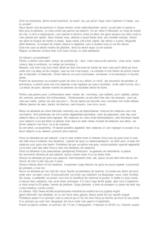 Cind se incalzeste, altoim acesti pomisori „la masa” sau „pe picior” dupa care ii plantam in livada, sau 
la „scoala”. 
Daca facem rost de pomisori in timpul iernii(in lunile calde-ferestrele iernii), se pot altoi si pastra in 
beci pina la plantare, cu nisip umed sau pamint pe radacini. Eu am altoit in februarie un snop de butasi 
de mar, in ochi si despicatura, i-am pastrat in beci(nu stiam ce efect are gerul asupra unui altoi crud) si 
i-am plantat prin aprilie. Spre mirarea mea, altoirea a reusit foarte bine, prin ambele metode. Uneori 
am altoit la inceput de martie in livada, dupa citeva zile a fost inghet, dar altoiul s -a prins. Mugurele 
altoit devreme, la inceput de martie, pleaca in vegetatie cam in acelasi timp cu cei din natura. 
Este mai usor sa altoim inainte de plantare, decit sa altoim dupa ce am plantat. 
Regula ca altoirea se face doar cind seva circula, nu este adevarata. 
Ce folosim ca portaltoaie? 
Pentru a obtine cires avem nevoie de portaltoi din : visin, cires crescut din saminta , cires amar, malin( 
ciresul, deşi e simburos, nu merge pe corcoduş ). 
Deseori, sub visini sau sub ciresii altoiti pe visin sint sute de lastari de visin care pot fi altoiti pe locul 
unde sint ( se aleg cei din margini, care au mai mult soare). La crestere ei sint hraniti de pomul mama 
dar isi dezvolta si radacinile. Ciresii obtinuti se scot in primavara urmatoare si se planteaza in locurile 
dorite. 
Putem de asemenea sa scoatem puietii de visin si sa-i altoim „in mina”, dar procentul de prindere al 
pomului(nu a altoirii) este mai mic( depinde si de ingrijirea pe care o acordam, sa fie udat la timp, etc.) 
.La restul de pomi, altoirea inainte de plantare da rezultate destul de bune. 
Pentru cais,piersic,prun ( simburoase) avem nevoie de : corcoduş, cais salbatic, prun salbatic, piersic 
din saminta, porumbar (tot sîmburoase) . Simburoasele se pot altoi între ele ( de exemplu : prun pe 
cais sau invers, piersic pe cais sau prun ) . Se pot aplica pe ramurile unui corcoduş mai multe altoaie 
diferite (piersic de vara, piersic de toamna, cais timpuriu, cais tirziu, prun). 
Marul se altoieste pe marul franc(din saminta) sau pe drajoni(lastari crescuti din radacina unui mar 
mai batrin). Sint portaltoaie de mar numite vegetative(majoritatea celor de pepiniera) care dau usor 
radacini daca un lastar este ingropat. Din radacina lor cresc multi lastari(drajoni) care formeaza foarte 
usor radacini si se pot folosi la plantat chiar daca au doar citeva mustati de radacina sau deloc, vor 
forma radacini mai tirziu, ca si via butasita. 
Eu am altoit, ca experienta, 10 lastari portaltoi vegetativi fara radacina si i -am ingropat la scoala, 6 au 
facut radacini si au devenit pomisori pina toamna. 
Parul se altoieşte pe par paduret ( caz in care creşte mare si rodeste tirziu) sau pe gutui (caz in care 
are talie mica si rodeste mai devreme). Lastarii de gutui cu radacina(drajoni) se obtin usor, ei apar din 
radacina unui gutui mai batrin. Portaltoiul de par se obtine mai greu, exista portaltoi speciali vegetativi( 
ca la mar) care dau talie mica si care mai lastaresc din radacina. 
Parul se altoieste si pe paducel(sau gherghinar).Paducelul se gaseste din abundenta in paduri. 
Nu recomand altoirea pe par paduret, pomul creste mare si nu se poate trata. 
Gutuiul se altoieşte pe gutui sau paducel. Seminţoasele (măr, păr, gutui) se pot altoi între ele -eu am 
ramuri de mar in peri sau par in gutui. 
Gutuiul trebuie altoit cit mai devreme, la pastrare coaja altoiului de gutui se usuca repede si procentul 
de prindere e mai mic 
Nucul se altoieste pe nuc iesit din nuca. Nucile se planteaza de toamna, la scoala sau direct pe locul 
unde vrem sa avem nucul. Exista pericolul ca ciorile sau sobolanii sa dezgroape nuca, chiar incoltita. 
De aceea, e preferabil sa punem nuci mici la stratificat din toamna( le punem in ladite cu nisip umed, 
in beciuri fara sobolani), sau sa le tinem primavara 2-3 zile in apa de 60 grade, apoi inca 2 saptamini 
in nisip umed la 25 grade, inainte de plantare. Dupa plantare, e bine sa protejam cu plasa de rabit sau 
o sita metalica, contra ciorilor. 
La adresa: http://www.recolta.eu/producerea-materialului -saditor-la-nuc-juglans-regia/ 
gasiti informatii mai detaliate, eu nu am facut asta, gasesc destui puieti de nuc rasariti singuri. 
Portaltoiul poate fi un pomişor care a crescut pe un loc din anul trecut şi ramîne pe locul lui sau poate 
fi un pomişor pe care l-am dezgropat din locul unde l-am gasit si il replantăm. 
Putem sa gasim undeva un pomisor de 1-3 ani, il dezgropam, il retezam la 30-40 cm, il ducem acasa 
 