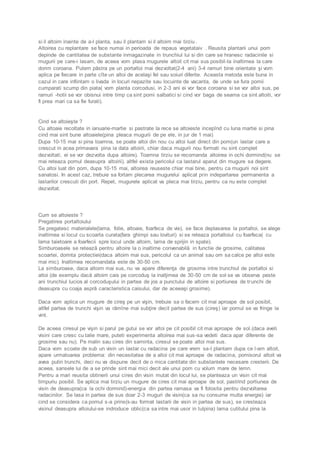 si il altoim inainte de a-l planta, sau il plantam si il altoim mai tirziu . 
Altoirea cu replantare se face numai in perioada de repaus vegetataiv . Reusita plantarii unui pom 
depinde de cantitatea de substante inmagazinate in trunchiul lui si din care se hranesc radacinile si 
mugurii pe care-i lasam, de aceea vom plasa mugurele altoit cit mai sus posibil -la inaltimea la care 
dorim coroana. Putem păstra pe un portaltoi mai dezvoltat(2-4 ani) 3-4 ramuri bine orientate şi vom 
aplica pe fiecare in parte cîte un altoi de acelaşi fel sau soiuri diferite. Aceasta metoda este buna in 
cazul in care infiintam o livada in locuri nepazite sau locuinte de vacanta, de unde se fura pomii 
cumparati scump din piata( vom planta corcodusi, in 2-3 ani ei vor face coroana si se vor altoi sus, pe 
ramuri -hotii se vor obisnui intre timp ca sint pomi salbatici si cind vor baga de seama ca sint altoiti, vor 
fi prea mari ca sa fie furati). 
Cind se altoieşte ? 
Cu altoaie recoltate in ianuarie-martie si pastrate la rece se altoieste incepînd cu luna martie si pina 
cind mai sint bune altoaiele(pina pleaca mugurii de pe ele, in jur de 1 mai) 
Dupa 10-15 mai si pina toamna, se poate altoi din nou cu altoi luat direct din pom(un lastar care a 
crescut in acea primavara pina la data altoirii, chiar daca mugurii nou formati nu sint complet 
dezvoltati, ei se vor dezvolta dupa altoire). Toamna tirziu se recomanda altoirea in ochi dormind(nu se 
mai reteaza pomul deasupra altoirii), altfel exista pericolul ca lastarul aparut din mugure sa degere. 
Cu altoi luat din pom, dupa 10-15 mai, altoirea reuseste chiar mai bine, pentru ca mugurii noi sint 
sanatosi. In acest caz, trebuie sa fortam plecarea mugurelui aplicat prin indepartarea permanenta a 
lastarilor crescuti din port. Repet, mugurele aplicat va pleca mai tirziu, pentru ca nu este complet 
dezvoltat. 
Cum se altoieste ? 
Pregatirea portaltoiului 
Se pregatesc materialele(lama, folie, altoaie, foarfeca de vie), se face deplasarea la portaltoi, se alege 
inaltimea si locul cu scoarta curata(fara ghimpi sau lovituri) si se reteaza portaltoiul cu foarfeca( cu 
lama taietoare a foarfecii spre locul unde altoim, lama de sprijin in spate). 
Simburoasele se retează pentru altoire la o inaltime convenabilă in functie de grosime, calitatea 
scoartei, dorinta protectiei(daca altoim mai sus, pericolul ca un animal sau om sa calce pe altoi este 
mai mic). Inaltimea recomandata este de 30-50 cm. 
La simburoase, daca altoim mai sus, nu va apare diferenţa de grosime intre trunchiul de portaltoi si 
altoi (de exemplu dacă altoim cais pe corcoduş la inalţimea de 30-50 cm de sol se va observa peste 
ani trunchiul lucios al corcoduşului in partea de jos a punctului de altoire si portiunea de trunchi de 
deasupra cu coaja aspră caracteristica caisului, dar de aceeaşi grosime). 
Daca vom aplica un mugure de cireş pe un vişin, trebuie sa o facem cit mai aproape de sol posibil, 
altfel partea de trunchi vişin va rămîne mai subţire decit partea de sus (cireş) iar pomul se va fringe la 
vint. 
De aceea ciresul pe vişin si parul pe gutui se vor altoi pe cit posibil cit mai aproape de sol.(daca aveti 
visini care cresc cu talie mare, puteti experimenta altoirea mai sus-sa vedeti daca apar diferente de 
grosime sau nu). Pe malin sau cires din saminta, ciresul se poate altoi mai sus. 
Daca vom scoate de sub un visin un lastar cu radacina pe care vrem sa-l plantam dupa ce l-am altoit, 
apare urmatoarea problema: din necesitatea de a altoi cit mai aproape de radacina, pomisorul altoit va 
avea putin trunchi, deci nu va dispune decit de o mica cantitate din substantele necesare cresterii. De 
aceea, sansele lui de a se prinde sint mai mici decit ale unui pom cu volum mare de lemn. 
Pentru a mari reusita obtinerii unui cires din visin mutat din locul lui, se planteaza un visin cit mai 
timpuriu posibil. Se aplica mai tirziu un mugure de cires cit mai aproape de sol, pastrind portiunea de 
visin de deasupra(ca la ochi dormind)-energia din partea ramasa va fi folosita pentru dezvoltarea 
radacinilor. Se lasa in partea de sus doar 2-3 muguri de visin(ca sa nu consume multa energie) iar 
cind se considera ca pomul s-a prins(s-au format lastarii de visin in partea de sus), se cresteaza 
visinul deasupra altoiului-se indroduce oblic(ca sa intre mai usor in tulpina) lama cutitului pina la 
 