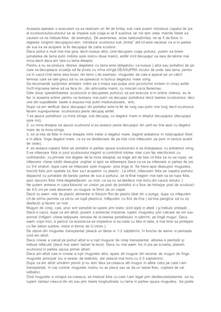 Aceasta operatie o executam ca sa realizam un fel de limba, sub care putem introduce capatul de jos 
al scutisorului(scutisorul se va impana sub coaja si va fi sustinut, iar noi vom avea mainile libere sa 
cautam ce ne trebuie-folia, de exemplu). De asemenea, acea taietura(limba) ne va fi de folos in 
reglarea lungimii decupajului-vom introduce scutisorul sub „limba” atit cit este necesar ca si in partea 
de sus sa se acopere la fix decupajul de catre scutisor. 
Daca portul e mult mai mai gros decit nuiaua altoi, cind decupam coaja portului, putem sa tinem 
jumatatea de lama putin indoita spre noi(cu doua maini), astfel incit decupajul sa iasa de latime mai 
mica decit daca am taia cu lama dreapta. 
Pentru a nu se produce rănirea degetelor cu lama este obligatoriu ca nuiaua ( altoi sau portaltoi) de pe 
care se decupeaza scoarţa să fie ţinuta cu mîna stîngă DEASUPRA locului de unde taie lama, pentru 
ca în cazul cînd lama iese brusc din lemn ( de exemplu -mugurele de cais e aşezat pe un călcîi 
lemnos care se taie greu) să nu se oprească in buricul degetului mare sting. 
Se recomandă sprijinirea ambelor măini pe o masa sau pulpa unui picior(cind sintem in cimp) astfel 
încît mişcarea lamei să se faca lin , din articulatia mainii, cu miscari ca la fierastrau . 
Cele doua operatii(taierea scutisoruli si decuparea portului) se pot executa si in ordine inversa, eu le 
fac in aceasta ordine pentru ca dureaza mai putin sa decupez portaltoiul decit taierea scutisorului, deci 
una din suprafetele taiate e expusa mai putin mediului(soare, vint). 
Dupa ce am verificat daca decupajul din portaltoi este la fel de lung sau putin mai lung decit scutisorul, 
facem suprapunerea scutisorului peste decupaj astfel: 
1.se apuca portaltoiul cu mina stinga, sub decupaj, cu degetul mare in dreptul decupajului (decupajul 
spre noi), 
2. cu mina dreapta se apuca scutisorul si se aseaza peste decupajul din port -se tine apoi cu degetul 
mare de la mina stinga, 
3. se ia rola de folie in mina dreapta intre inelar si degetul mare, bagind aratatorul in rola(capatul foliei 
e in afara, linga degetul mare, ca sa se desfasoare de pe rola cind infasuram pe pom in sensul acelor 
de ceas), 
4. se aseaza capatul foliei pe portaltoi in partea opusa scutisorului si se tine(apasa) cu aratatorul sting, 
5.se infasoara folia in jurul scutisorului tragind si controlind rotirea rolei cum fac electricienii cu 
izolirbandul- cu primele trei degete de la mina dreapta( se trage atit de tare cit folia sa nu se rupa); se 
infasoara citeva rotatii deasupra unghiei si apoi se elibereaza baza ca sa se infasoare si partea de jos 
cu 3-4 straturi, dupa care se infasoara spre mugure- pina linga el. Se trece apoi deasupra mugurelui, 
trecind folia prin spatele lui, fara sa-l acoperim cu plastic . La sfirsit, infasuram folia pe capatul portului, 
depasind cu jumatate de banda partea de sus a portului, iar la final tragem mai tare sa se rupa folia, 
apoi rasucim folia intre degete(facem un mot- ca sa nu se desfaca mai tirziu din cauza vintului ) 
Ne putem antrena in casa folosind un creion pe post de portaltoi si o fisie de hirtie(pe post de scutisor) 
de 4-5 cm pe care desenam un mugure la 5mm de un capat. 
Dacă nu avem role de plastic alimentar si folosim fîsii de plastic tăiat din o punga, dupa ce infaşurăm 
cît de strîns permite ca să nu se rupă plasticul, înfăşurăm cu firul de lîna ( să tina panglica să nu se 
desfacă) şi facem un nod. 
Mugurii de cireş, cais, prun sint sensibili la rupere prin lovire (sînt ieşiţi in afară ) şi trebuie protejati . 
Dacă e cazul, dupa ce am altoit, punem o protectie impotriva ruperii mugurelui prin calcare de om sau 
animal (înfigem citeva beţişoare ramase de la taierea portaltoiului in pămînt, pe lîngă mugur. Daca 
avem copii mici, e pericol ca acestia sa se impiedice si sa cada cu fata in bete, e mai bine sa protejam 
cu fier beton subtire, indoit in forma de U intors ). 
De obicei din mugurele transplantat pleacă un lăstar in 1-2 săptămîni, în functie de vreme si perioada 
cind am altoit. 
Daca cineva a calcat pe pomul altoit si a rupt mugurul de cireş transplantat, altoirea e pierdută şi 
trebuie refacută (dacă mai avem lastari la rece). Daca nu mai avem loc in jos pe scoarta, plasam 
scutisorul in partea opusa primei altoiri. 
Daca am altoit cais si cineva a rupt mugurele altoi, apare alt mugure din rezerva de muguri de lînga 
mugurele principal (nu e nevoie de realtoire, dar pleacă mai tirziu cu 2-3 saptamini). 
Dupa ce am altoit urmărim pomiii şi nu vom lăsa sa creasca alti muguri în afara celui pe care l -am 
transplantat, în caz contrar mugurele nostru nu va pleca sau va da un lastar firav, coplesit de cei 
sălbatici. 
Cind mugurele a inceput sa creasca, se inlatura folia cu care l-am legat prin desfasurare(atentie sa nu 
rupem lastaul crescut din el) sau prin taiere longitudinala cu lama in partea opusa mugurelui. Se poate 
 