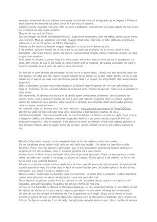 exemplu: e toamna tirziu şi lastarul care apare nu mai are timp să se dezvolte şi va degera ). Piersicul 
altoit toamna are tendinta sa plece, oricit ar fi de tirziu in toamna. 
Altoirea nucului reuseste mai greu. Dar nu este o problema, caci altoirea se poate repeta de mai multe 
ori, in primul an sau in anii urmatori. 
Mugurii de nuc sint de 3 feluri. 
Din unii muguri ies florile barbatesti(mitisorii). Acestia se deosebesc usor de restul, pentru ca au forma 
unui mic con. Mugurii vegetativi sint ovali, mugurii florali apar mai tirziu in virful lastarului crud(nucul 
infloreste in jur de 23 aprilie, de Sfintul Gheorghe). 
Trebuie sa fim atenti sa folosim mugurii vegetativi si nu pe cei in forma de con. 
E de preferat sa luam altoaie de la nuci care nu au rodit( de exemplu, de la un nuc altoit in anul 
precedent –deci care e bun), pentru ca pomul, neconsumind energia pentru cresterea nucilor, va avea 
muguri mai sanatosi 
Cind taiem scutisorul, o putem face si in sens opus, adica vom taia cu lama de jos in sus(pentru ca, 
daca vom incepe de sus in jos, lama va intra in lemn pina la maduva, din cauza denivelarii pe care e 
asezat mugurele si va fi greu de iesit cu lama din lemn). 
Au fost ani in care altoirea de primavara la nuc nu mi-a reusit deloc. Uitindu-ma prin nucii de unde am 
luat altoaie, am aflat una din cauze: mugurii laterali de pe lastari nu au fost viabili, pentru ca nu au dat 
lastari nici in pomul de unde i-am recoltat(au plecat doar 1-2 muguri din virf-probabil din cauza secetei 
si gerului) 
Deci, e important sa luam mai multe altoaie si sa folosim doar mugurele din virf sau cel imediat de 
linga el. Este bine, la nuc, sa luam altoaie la inceputul iernii, inainte de gerurile mari si sa le pastram in 
nisip umed. 
Din experienta, la altoirea nucului(ca si la lamai) apare urmatoarea problema: desi scutisorul se 
prinde, atunci cind e aplicat in partea de sus a unui port retezat, mugurele altoi nu pleaca, aparind 
lastari din partea de jos a portului, deci nucul(ca si lamaiul) se comporta diferit decit restul pomilor, 
unde nu apare acest fenomen. 
Un material video cu altoirea unui nuc vara este aici: www.youtube.com/watch?v=7lrdWQEO9aU 
Din film se vede ca este cel putin luna iunie, scutisorul a fost aplicat in partea de jos a 
portaltoiului(metoda chip sau simplificata), iar mai tirziu(dupa ce altoiul s -a prins-se vede dupa cum s-a 
desprins codita), se forteaza cresterea mugurelui facind cu un cutit o incizie in port, la 5-6 cm 
deasupra mugurelui, pina la maduva; Este pericol ca vintul sa indoaie si mai mult lastarul portaltoi si 
sa-l despice, trebuie deci sa legam portul de un arac, (putin inclinat, ca sa nu se sudeze taietura la 
loc) 
Metoda 2-Copulatie simpla: La nuc reuseste bine in faz de lastari cruzi(in luna iunie). 
Se iau ca altoaie citiva lastari cruzi de la un nuc altoit sau laudat . Pe lastari se lasa doar codita 
frunzelor. Pe un mic nuc plantat in primavara sau in anul precedent se executa taierea oblica(cu o 
lungime de 3-5 cm) a virfului crud, in zona de grosime cit a unui creion. 
Acelasi lucru se face la baza lastarului altoi, ales la grosime apropiata. Dupa ce se suprapun zonele 
taiate, se infasoara cu folie si se leaga cu sfoara de cinepa. Altoiul aplicat e de preferat sa fie un virf 
de pe care s-au inlaturat frunzele. 
Altoirea in copulatie simpla se face poate face la toate speciile pomicole atit primavara (martie-aprile) 
cu altoi pastrat la rece, cit si mai tirziu in faza de lastar luat din pom. Se poate aplica si la vita de vie, 
primavara, sau dupa 1 iunie-cu lastari cruzi. 
Daca nu avem lastari altoi cu diametru egal cu al portului, se poate face o copulatie si daca diametrul 
nuielei altoi este mai mic decit cel al portului, taind mai putin din port. 
Daca altoim in copulatie, putem face si o altoire in ochi, in partea de jos; daca nu s-a prins in virf 
copulatia, stimulam plecarea mugurelui de jos ca in filmul de mai sus. 
La nuc se mai foloseste si altoirea in Oculatia inelara.(eu nu am incercat)-metoda e prezentata pe net. 
O metoda de altoire la nuc pe care am vazut-o pe net(dar nu am salvat adresa) era urmatoarea: 
Un port de nuc era retezat la inaltimea de 1 m si grosimea unui deget. Dupa ce se cresta in cruce 
scoarta in partea de sus, se efectua decojirea cojii(asa cum se decojeste o banana), pe o lungime de 
7-8 cm. Se taia o bucata de 5 cm din virful decojit(coaja decojita atirna in jos). Din o bucata de ramura 
 