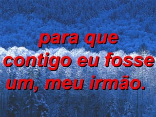 para que contigo eu fosse um, meu irmão.   