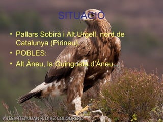 SITUACIÓ
• Pallars Sobirà i Alt Urgell, nord de
Catalunya (Pirineu).
• POBLES:
• Alt Àneu, la Guingueta d’Àneu…
 