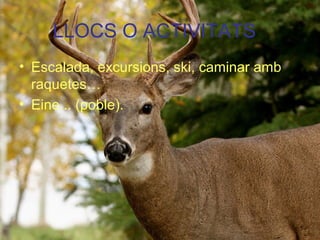 LLOCS O ACTIVITATS
• Escalada, excursions, ski, caminar amb
raquetes…
• Eine... (poble).
 