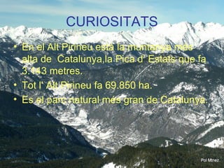 CURIOSITATS
• En el Alt Pirineu està la muntanya més
alta de Catalunya,la Pica d’ Estats que fa
3.143 metres.
• Tot l’ Alt Pirineu fa 69.850 ha.
• Es el parc natural més gran de Catalunya.
 