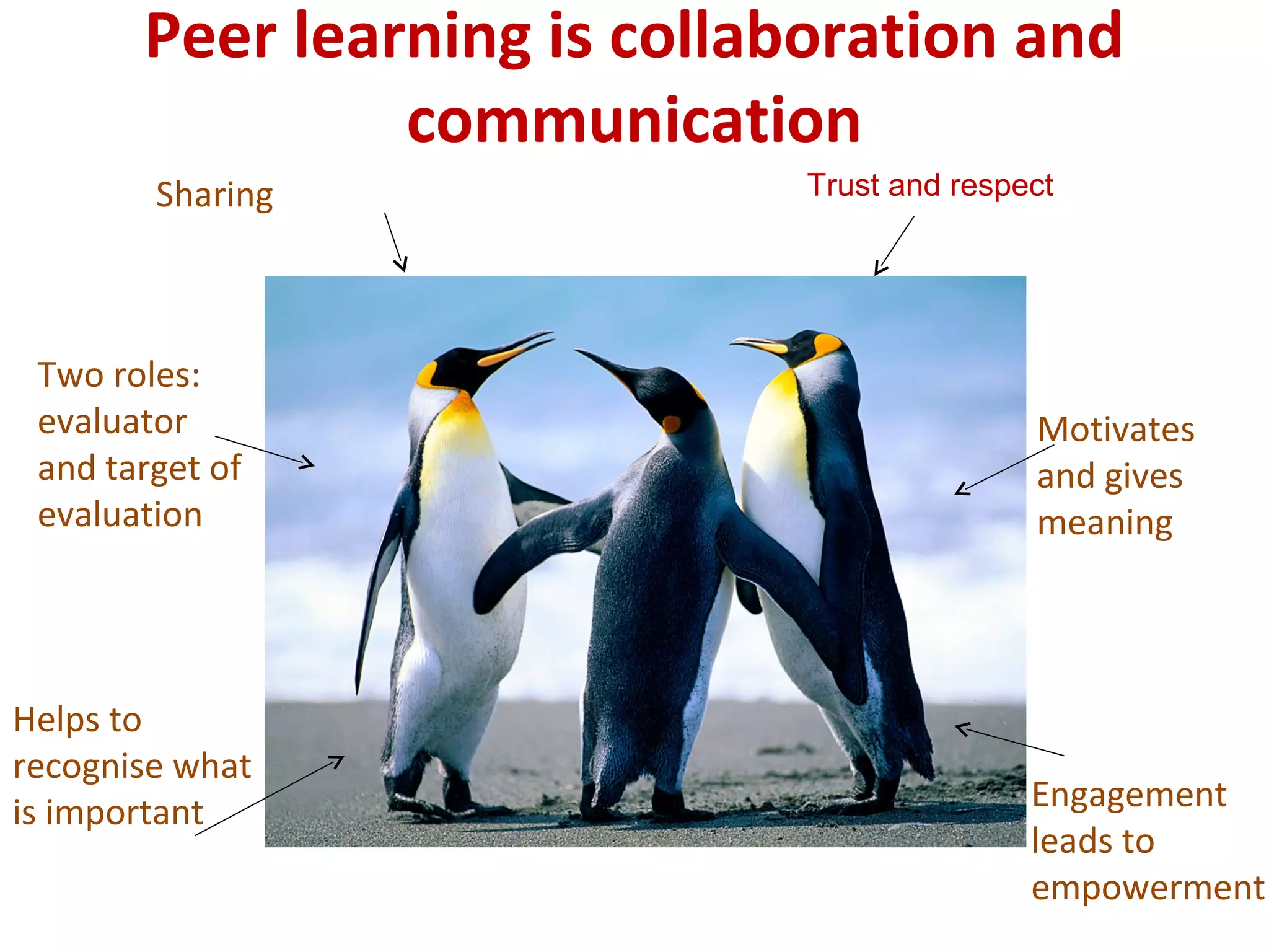 Peer learning is collaboration and
                communication
        Sharing              Trust and respect




 Two roles:
 evaluator                                  Motivates
 and target of                              and gives
 evaluation                                 meaning




Helps to
recognise what
is important                                Engagement
                                            leads to
                                            empowerment
 