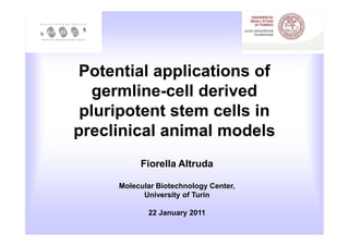 Potential applications of
   germline-cell derived
 pluripotent stem cells in
preclinical animal models
          Fiorella Altruda

     Molecular Biotechnology Center,
           University of Turin

            22 January 2011
 