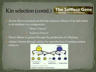  Jerram Brown pointed out that the inclusive fitness of an individual
is dividedinto two components:
I. ‘Direct Fitness’
II. ‘Indirect Fitness’
 Direct fitness is gained through the production of offspring
 indirect fitness through aiding the reproduction of nondescendent
relatives
 