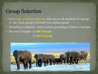  It is a type of natural selection, that acts on all members of a group
i.e. the whole group is favored over another group
 Defined as a selection which evolves according to fitness of groups
 Has two Concepts- 1) Old Concept
2) New Concept
 