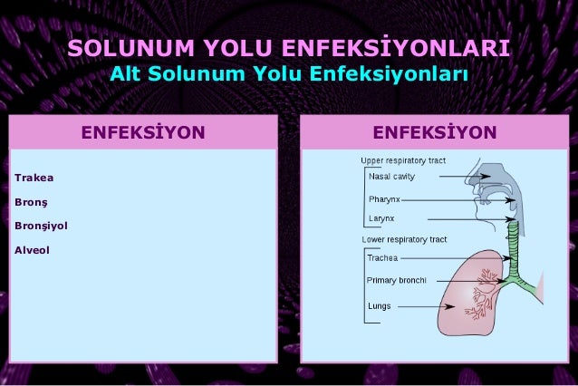 alt solunum yolu enfeksiyonlarinda tani ve tedavide yapilan yanlislar