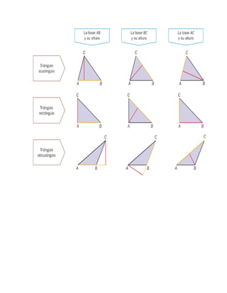 Altura de triangulos