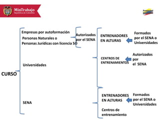CURSO
ENTRENADORES
EN ALTURAS
Empresas por autoformación
Universidades
Personas Naturales o
Personas Jurídicas con licencia SO
Autorizados
por el SENA
CENTROS DE
ENTRENAMIENTOS
SENA
ENTRENADORES
EN ALTURAS
Centros de
entrenamiento
Formados
por el SENA o
Universidades
Formados
por el SENA o
Universidades
Autorizados
por
el SENA
 
