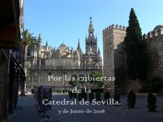 Por las cubiertas de la Catedral de Sevilla. 7 de Junio de 2008 