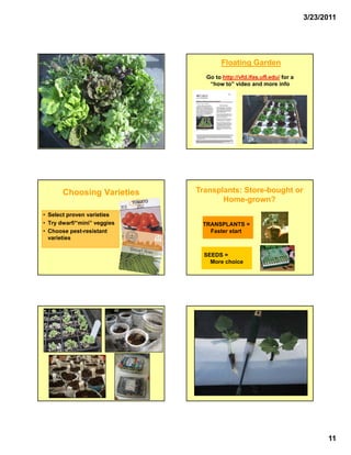 3/23/2011




                                     Floating Garden
                               Go to http://vfd.ifas.ufl.edu/ for a
                                “how to” video and more info




       Choosing Varieties    Transplants: Store-bought or
                                          Store-
                                    Home-
                                    Home-grown?
• Select proven varieties
• Try dwarf/“mini” veggies    TRANSPLANTS =
• Choose pest-resistant         Faster start
  varieties


                               SEEDS =
                                 More choice




                                                                            11
 