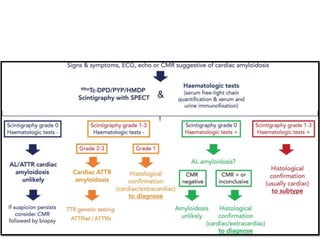 AL type Amyloidosis ppt.pptx | Heart and Cardiovascular Diseases ...