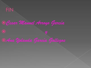 CesarManuel Arroyo García
                 y
Ana Yolanda García Gallegos
 