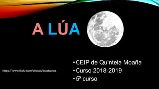 A LÚA
•CEIP de Quintela Moaña
•Curso 2018-2019
•5º curso
https:// www.flickr.com/photos/estebancs
 