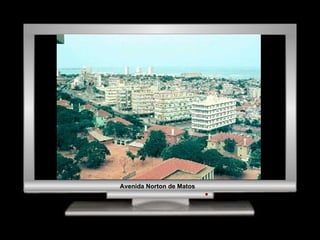 Avenida Norton de Matos 
