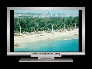 Floresta da Ilha ( Vista da Costa ) 