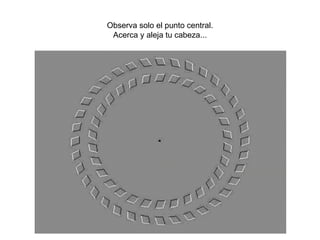 Observa solo el punto central. Acerca y aleja tu cabeza... 