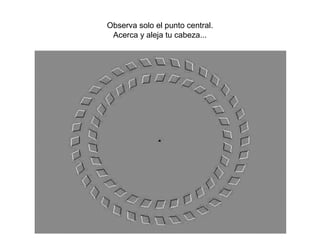 Observa solo el punto central.
 Acerca y aleja tu cabeza...
 