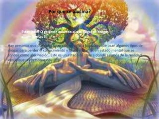 Por que se alucina?
Estas loco? O estas de acuerdo al uso ilegal de drogas
alucinógenas ?
Hay personas que por naturaleza alucinas. Pero hay otras que usan algunos tipos de
drogas para perder el conocimiento y luego entrar en un estado mental que se
conoce como alucinación. Este es un estado de trance donde salimos de la realidad,
ven lo que las personas no.
 