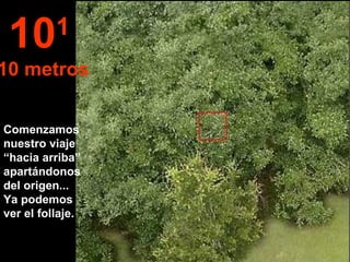 Comenzamos nuestro viaje “hacia arriba” apartándonos del origen...  Ya podemos ver el follaje. 10 1   10 metros 