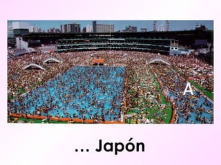 …  Japón 