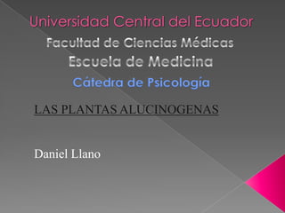 Cátedra de Psicología
LAS PLANTAS ALUCINOGENAS
Daniel Llano
 