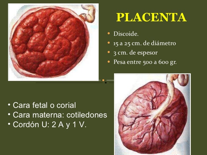TIPOS ALUMBRAMIENTO EBOOK TIPOS ALUMBRAMIENTO EBOOK