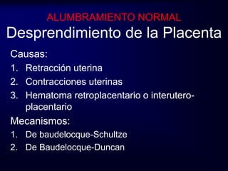 ALUMBRAMIENTO NORMAL 
Desprendimiento de la Placenta 
Causas: 
1. Retracción uterina 
2. Contracciones uterinas 
3. Hematoma retroplacentario o interutero-placentario 
Mecanismos: 
1. De baudelocque-Schultze 
2. De Baudelocque-Duncan 
 