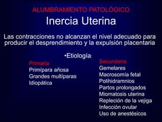 ALUMBRAMIENTO PATOLÓGICO 
Inercia Uterina 
Las contracciones no alcanzan el nivel adecuado para 
producir el desprendimiento y la expulsión placentaria 
•Etiología: 
Primaria 
Primípara añosa 
Grandes multíparas 
Idiopática 
Secundaria 
Gemelares 
Macrosomía fetal 
Polihidramnios 
Partos prolongados 
Miomatosis uterina 
Repleción de la vejiga 
Infección ovular 
Uso de anestésicos 
 