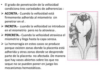 • El grado de penetración de la vellosidad
condiciona tres variedades de adherencias :
 ACCRETA.- Cuando la vellosidad está
firmemente adherida al miometrio sin
penetrar en el .
 INCRETA.- cuando la vellosidad se introduce
en el miometrio pero no la atraviesa .
 PERCRETA.- Cuando la vellosidad atraviesa el
miometrio y llega hasta la capa serosa.
 La hemorragia en estos casos se produce
porque existen zonas donde la placenta está
adherida y otras zonas donde se desprende
parte de la placenta no afectada .De manera
que hay vasos abiertos sobre los que no
seque no se pueden poner en juego los
mecanismos hemostáticos.
 