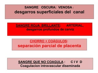 SANGRE OSCURA: VENOSA :
desgarros superficiales del canal
SANGRE ROJA BRILLANTE: ARTERIAL,
desgarros profundos de cerviz
CHORRO + COÁGULOS:
separación parcial de placenta
SANGRE QUE NO COAGULA : C I V D
Coagulacion intravascular diseminada
 