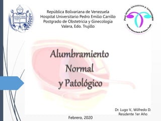 República Bolivariana de Venezuela
Hospital Universitario Pedro Emilio Carrillo
Postgrado de Obstetricia y Ginecología
Valera, Edo. Trujillo
Dr. Lugo V., Wilfredo D.
Residente 1er Año
Febrero, 2020
 