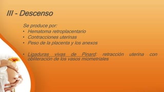 III - Descenso
Se produce por:
• Hematoma retroplacentario
• Contracciones uterinas
• Peso de la placenta y los anexos
• Ligaduras vivas de Pinard: retracción uterina con
obliteración de los vasos miometriales
 