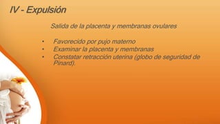 IV - Expulsión
Salida de la placenta y membranas ovulares
• Favorecido por pujo materno
• Examinar la placenta y membranas
• Constatar retracción uterina (globo de seguridad de
Pinard).
 