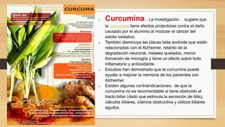  Curcumina:22 La investigación23, 24 sugiere que
la curcumina tiene efectos protectores contra el daño
causado por el aluminio al modular el cáncer del
estrés oxidativo.
 También disminuye las placas beta amiloide que están
relacionadas con el Alzheimer, retardo de la
degradación neuronal, metales quelados, menor
formación de microglía y tiene un efecto sobre todo
inflamatorio y antioxidante.
 Estudios han demostrado que la curcumina puede
ayudar a mejorar la memoria de los pacientes con
Alzheimer.
 Existen algunas contraindicaciones25 de que la
curcumina no es recomendable si tiene obstruido el
tracto biliar (dado que estimula la secreción de bilis),
cálculos biliares, ictericia obstructiva y cólicos biliares
agudos.
 