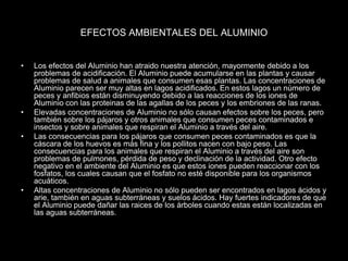 EFECTOS AMBIENTALES DEL ALUMINIO
• Los efectos del Aluminio han atraido nuestra atención, mayormente debido a los
problemas de acidificación. El Aluminio puede acumularse en las plantas y causar
problemas de salud a animales que consumen esas plantas. Las concentraciones de
Aluminio parecen ser muy altas en lagos acidificados. En estos lagos un número de
peces y anfibios están disminuyendo debido a las reacciones de los iones de
Aluminio con las proteinas de las agallas de los peces y los embriones de las ranas.
• Elevadas concentraciones de Aluminio no sólo causan efectos sobre los peces, pero
también sobre los pájaros y otros animales que consumen peces contaminados e
insectos y sobre animales que respiran el Aluminio a través del aire.
• Las consecuencias para los pájaros que consumen peces contaminados es que la
cáscara de los huevos es más fina y los pollitos nacen con bajo peso. Las
consecuencias para los animales que respiran el Aluminio a través del aire son
problemas de pulmones, pérdida de peso y declinación de la actividad. Otro efecto
negativo en el ambiente del Aluminio es que estos iones pueden reaccionar con los
fosfatos, los cuales causan que el fosfato no esté disponible para los organismos
acuáticos.
• Altas concentraciones de Aluminio no sólo pueden ser encontrados en lagos ácidos y
arie, también en aguas subterráneas y suelos ácidos. Hay fuertes indicadores de que
el Aluminio puede dañar las raices de los árboles cuando estas están localizadas en
las aguas subterráneas.
 