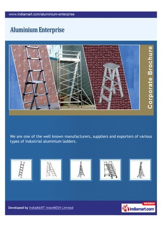 We are one of the well known manufacturers, suppliers and exporters of various
types of industrial aluminium ladders.
 