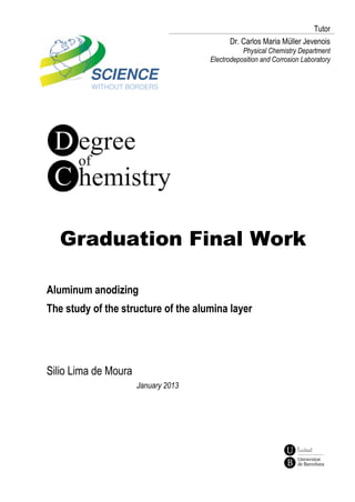 SCIENCE
WITHOUT BORDERS
Graduation Final Work
Tutor
Dr. Carlos Maria Müller Jevenois
Physical Chemistry Department
Electrodeposition and Corrosion Laboratory
Aluminum anodizing
The study of the structure of the alumina layer
Silio Lima de Moura
January 2013
 
