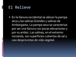 El Relieve

 En la llanura occidental se ubican la pampa
  seca y las salinas Grandes y salinas de
  Ambargasta. La pampa seca se caracteriza
  por ser una llanura con pocas elevaciones y
  por su aridez. Las salinas, en el extremo
  noroeste, son superficies cubiertas de sal y
  casi desprovistas de vida vegetal.
 
