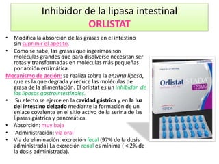 Orlistat Stada 120mg Precio