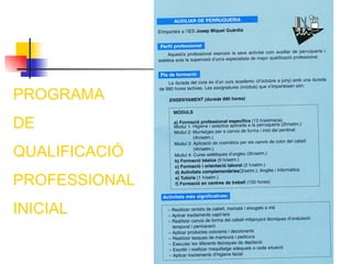 PROGRAMA
DE
QUALIFICACIÓ
PROFESSIONAL
INICIAL
 