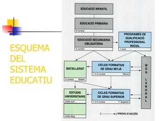 ESQUEMA
DEL
SISTEMA
EDUCATIU
 